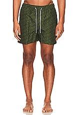 OAS Green Squiggle Swim Shorts in Green Squiggle, view 3, click to view large image.