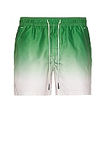 OAS Beach Grade Swim Shorts in Green &White, view 1, click to view large image.