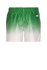 OAS Beach Grade Swim Shorts in Green &White, view 2, click to view large image.