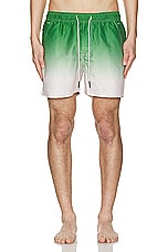 OAS Beach Grade Swim Shorts in Green &White, view 4, click to view large image.