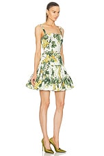 Oscar de la Renta Sleeveless Poplin Mini Dress in Ecru & Green, view 2, click to view large image.