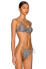 Palm Viper Bikini Top in Yin Yang, view 2, click to view large image.