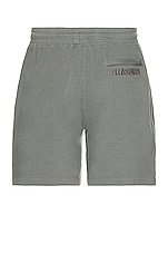 Pleasures X Sonic Youth Singer Shorts in Charcoal, view 2, click to view large image.