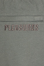 Pleasures X Sonic Youth Singer Shorts in Charcoal, view 3, click to view large image.