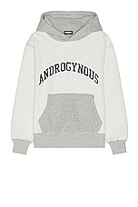 Pleasures Androgynous Hoodie in Grey, view 1, click to view large image.