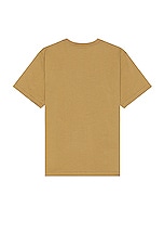 Pleasures Expand Heavyweight T-shirt in Brown, view 2, click to view large image.