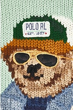 Polo Ralph Lauren Bear Cadet Long Sleeve Pullover in Celadon, view 6, click to view large image.
