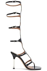 Paris Texas Uma 100 Knee High Sandal Heel in Carbone, view 1, click to view large image.