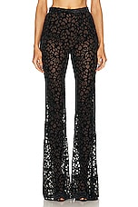 PRISCAVera Fitted Flared Pant in Black, view 1, click to view large image.