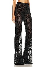PRISCAVera Fitted Flared Pant in Black, view 2, click to view large image.