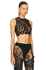 Roberto Cavalli Cropped Leopard Lace Top in Nero, view 2, click to view large image.