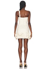 Rachel Gilbert Ochre Mini Dress in Coconut, view 4, click to view large image.