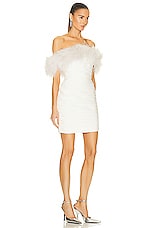Rachel Gilbert Zion Mini Dress in Ivory, view 2, click to view large image.