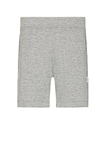 Reigning Champ Solotex Mesh Short in Heather Grey, view 1, click to view large image.