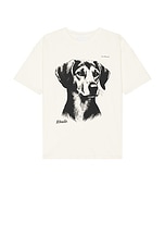 Rhude Fox Hound Tee in Vintage White, view 1, click to view large image.