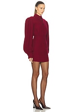 Rowen Rose Mini Polo Dress in Bordeaux, view 2, click to view large image.