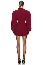 Rowen Rose Mini Polo Dress in Bordeaux, view 3, click to view large image.