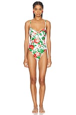 Rowen Rose One Piece Swimsuit in Cream & Red Roses, view 1, click to view large image.