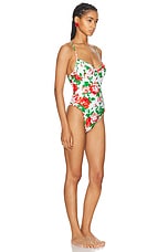 Rowen Rose One Piece Swimsuit in Cream & Red Roses, view 2, click to view large image.