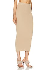 SABLYN Analyn Skirt in Sandhill, view 2, click to view large image.