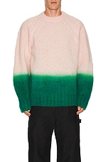 Sacai Gradation Knit Sweater in Pink & Green, view 3, click to view large image.