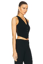 SANS FAFF Jessica Transparent Vest in Black, view 2, click to view large image.