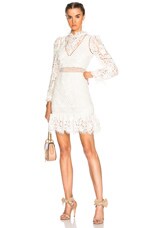 Sea Lace Embroidered Dress in Cream | FWRD