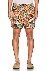 SIEDRES Printed Shorts in Multi, view 4, click to view large image.