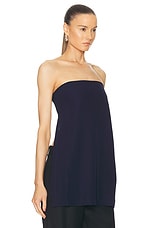 St. Agni Strapless Buckle Back Top in Inkwell, view 3, click to view large image.