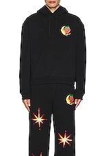 Sky High Farm Workwear Unisex Ally Bo Perennials Printed Hoodie Knit in BLACK, view 3, click to view large image.