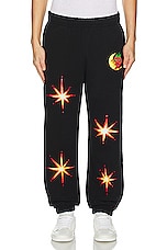 Sky High Farm Workwear Unisex Ally Bo Perennials Printed Sweatpants K in BLACK, view 3, click to view large image.