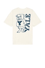 SIXTHREESEVEN Yale Bulldog Tee in Sand, view 1, click to view large image.