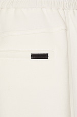 Saint Laurent Jambes Droit Pant in Biancospino, view 3, click to view large image.