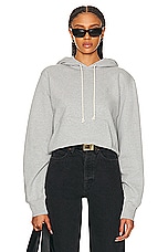 Saint Laurent Hoodie Champion Sweatshirt in Gris Chine, view 1, click to view large image.