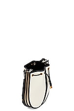 Saint Laurent Daryl Shoulder Bag in Bianco Natural & Nero, view 5, click to view large image.