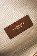 Saint Laurent Zipped Pouch Bag With Chain in Desert Dust & Brick, view 6, click to view large image.