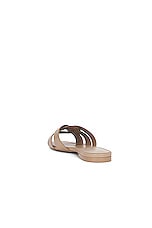 Saint Laurent Tribute Flat Sandal in Dark Beige, view 3, click to view large image.
