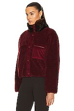 Sandy Liang Dough Fleece Jacket in Brunello, view 4, click to view large image.
