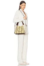 Stella McCartney Eco Embroidered Mesh Crossbody Bag in Yellow & Taupe, view 2, click to view large image.