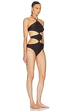Shani Shemer Morgan One Piece Swimsuit in Chocolate Brown, view 2, click to view large image.