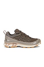 Salomon Xt-6 Expanse Ltr Sneaker in Bungee Cord, Wren, & Almond, view 1, click to view large image.