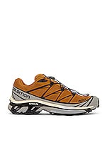 Salomon XT-6 Sneaker in Cathay Spice, Quarry, & Rose Cloud, view 1, click to view large image.