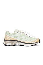 Salomon XT-6 Sneaker in Aloe Wash, Hazelnut, & Feather Gray, view 1, click to view large image.