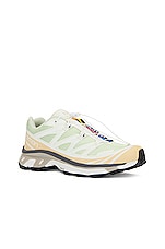 Salomon XT-6 Sneaker in Aloe Wash, Hazelnut, & Feather Gray, view 2, click to view large image.