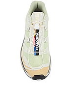 Salomon XT-6 Sneaker in Aloe Wash, Hazelnut, & Feather Gray, view 4, click to view large image.