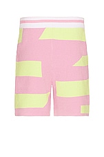 SER.O.YA Zeppelin Short in Stripe Pink & Green, view 2, click to view large image.