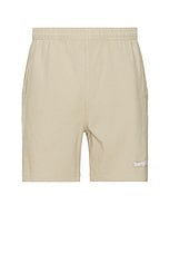 Sporty & Rich Embroidered Gym Shorts in Elephant, view 1, click to view large image.