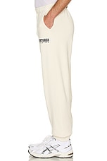 Sporty & Rich Team Logo Sweatpants in Cream, view 4, click to view large image.