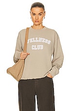 Sporty & Rich Wellness Club Flocked Crewneck Sweater in Elephant, view 1, click to view large image.