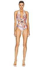 SILVIA TCHERASSI Leilou One Piece Swimsuit in Blush Prismatic Abstract Zebra, view 1, click to view large image.